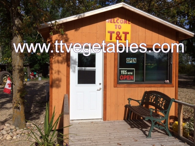 T&T Fruit & Vegetables | 58082 Juno Rd, Elma, MB R0E 0Z0, Canada | Phone: (204) 348-2976