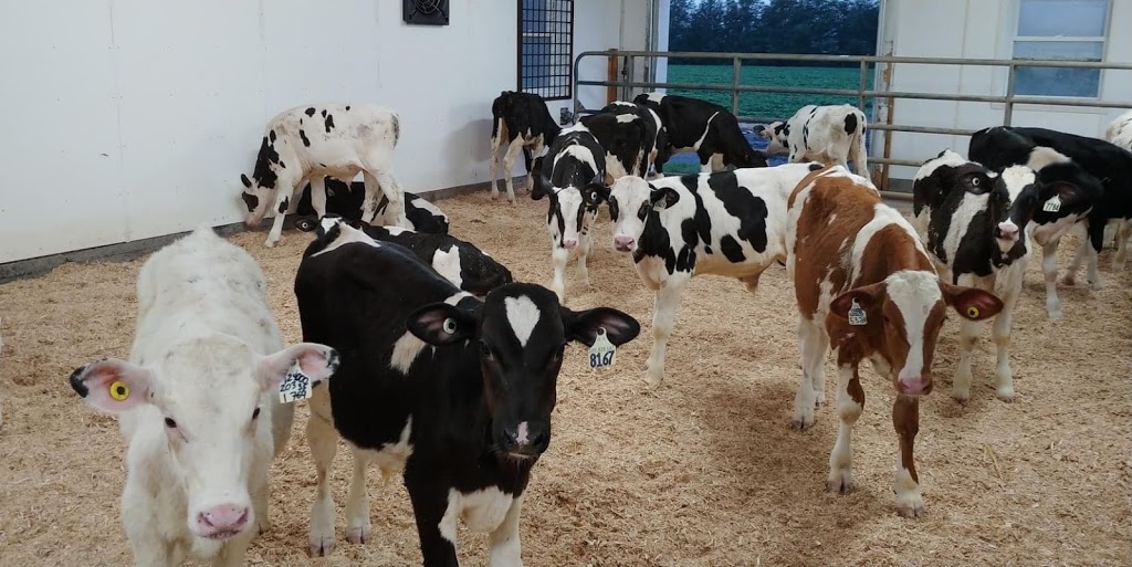 La Ferme Joalin | 130 Rang de la Côte Double, Sainte-Angèle-de-Monnoir, QC J0L 1P0, Canada | Phone: (450) 776-4919