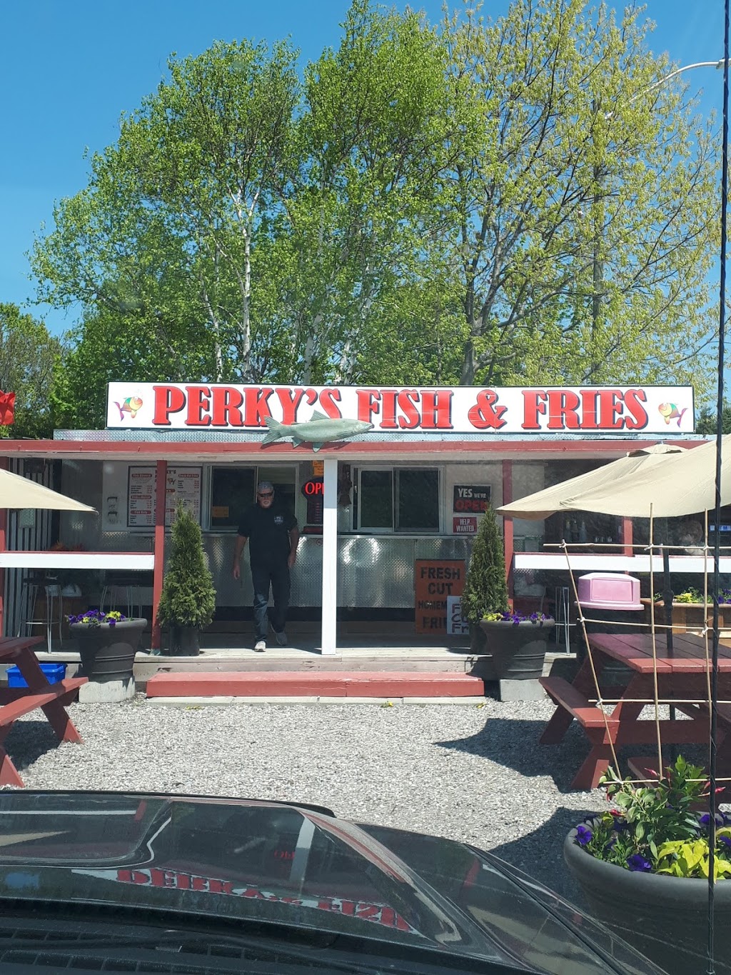 Perkys fish and chip | 165 County Rd 6 S, Tiny, ON L0L 2J0, Canada