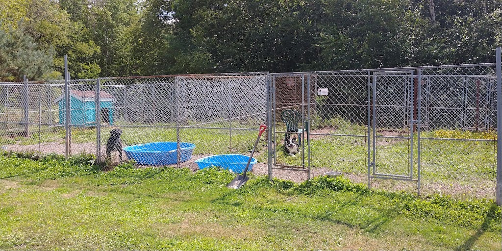 Lillian Allbon Animal Shelter | 798 Smith Rd, Amherst, NS B4H 3Y4, Canada | Phone: (902) 661-7297