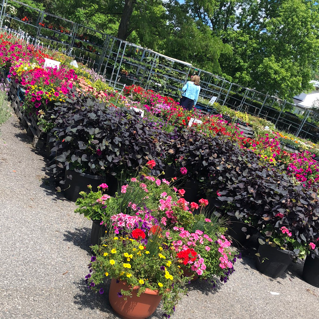 Garden Fresh Fruit Market | 12816 16 County Road, Severn, ON L0K 2C0, Canada | Phone: (705) 686-3110