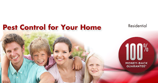 Abell Pest Control. | 48 Trider Crescent Unit #8, Dartmouth, NS B3B 1R6, Canada | Phone: (888) 560-2056