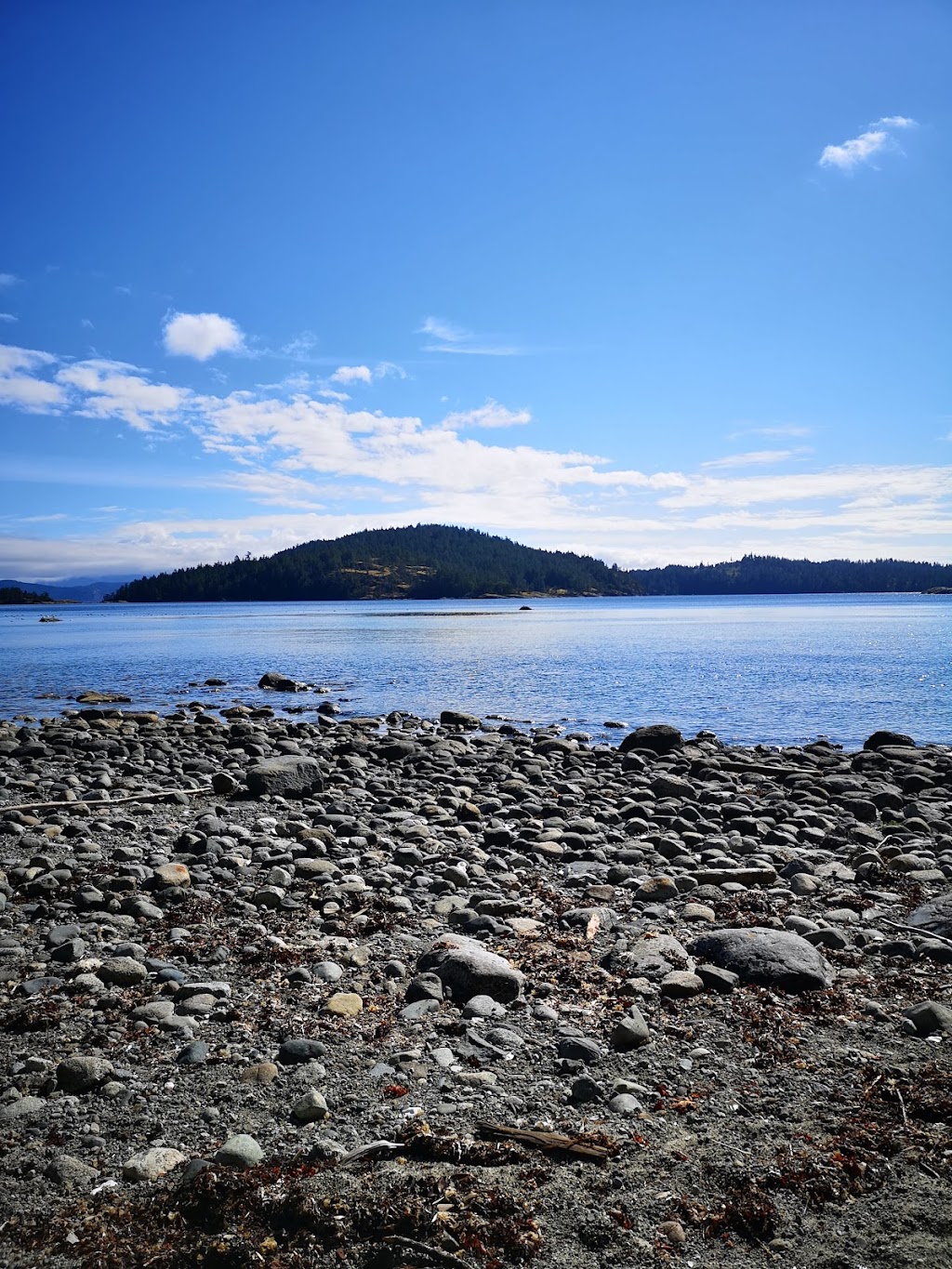 Cortes Natural Food Co-op and Cafe | 800 Sutil Point Rd, Mansons Landing, BC V0P 1K0, Canada | Phone: (250) 935-8577