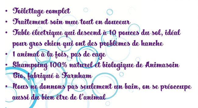 Ariella Toilettage | 225 Rue des Cerfs, Farnham, QC J2N 3C6, Canada | Phone: (514) 247-3811