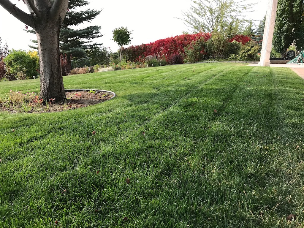 Simple Yard | 225 Railway St E, Cochrane, AB T4C 2C3, Canada | Phone: (587) 601-1220