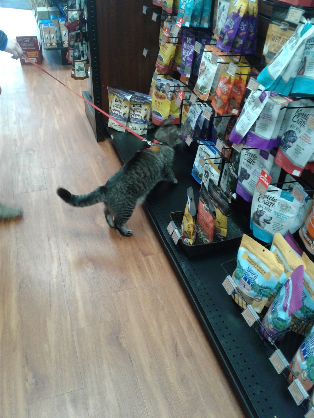 Pet Valu | 94 Bridgeport Rd E, Waterloo, ON N2J 2J9, Canada | Phone: (519) 886-6234