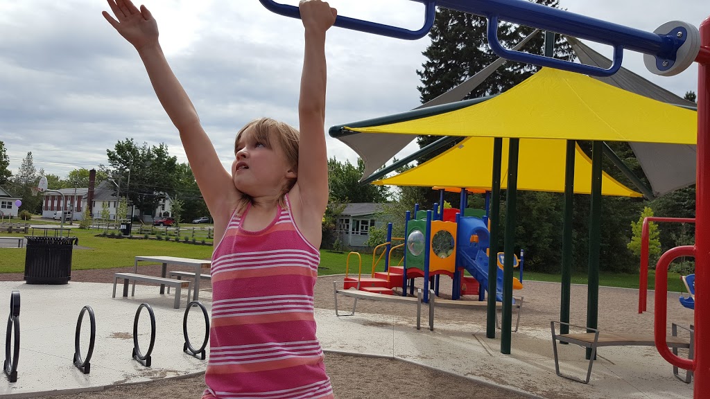 Parc Pauline Frizzell Park | 387 Salisbury Rd, Moncton, NB E1E 1B1, Canada | Phone: (506) 853-3516