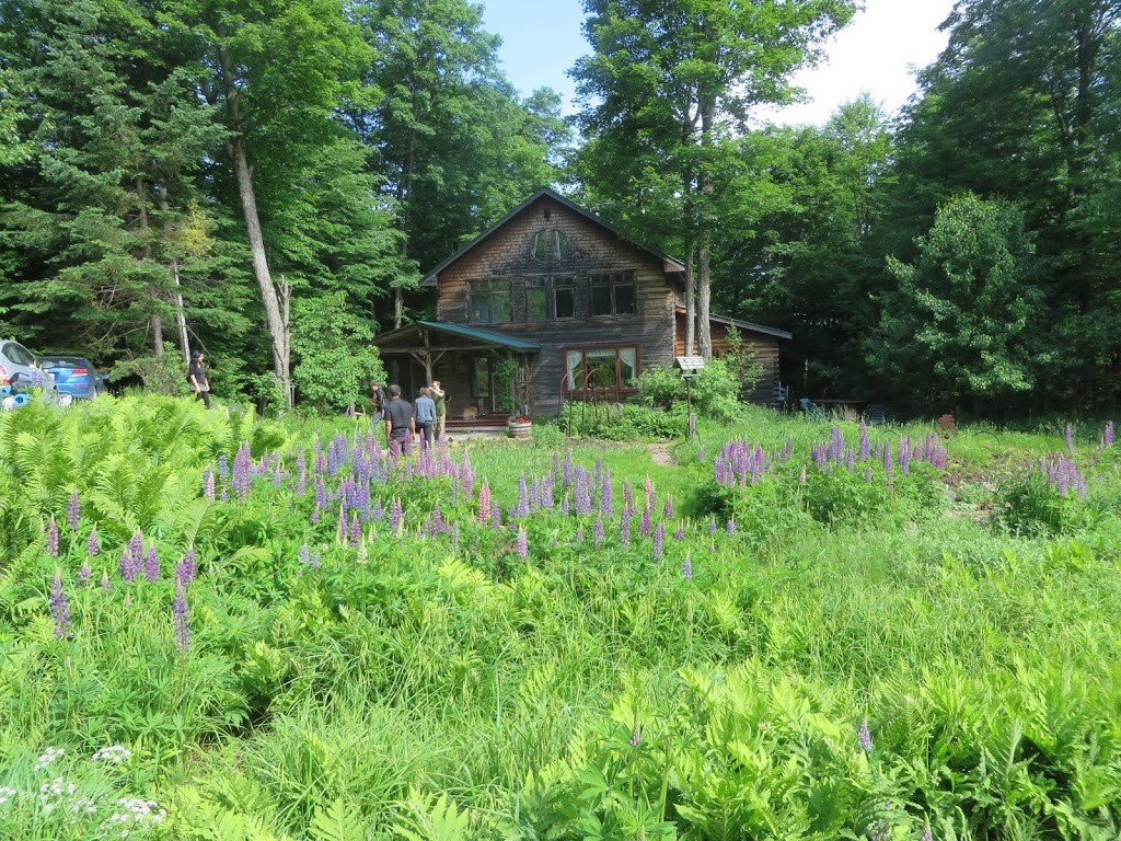 Dhyana ananda | 704 Chemin de la Ferme, Val-Morin, QC J0T 2R0, Canada | Phone: (514) 967-1382