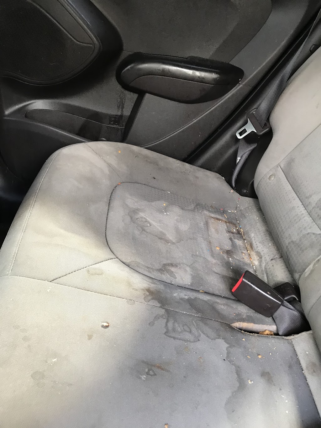 Kenny Js Mobile Detailing | 577 Stuart St, Hope, BC V0X 1L4, Canada | Phone: (604) 997-2421