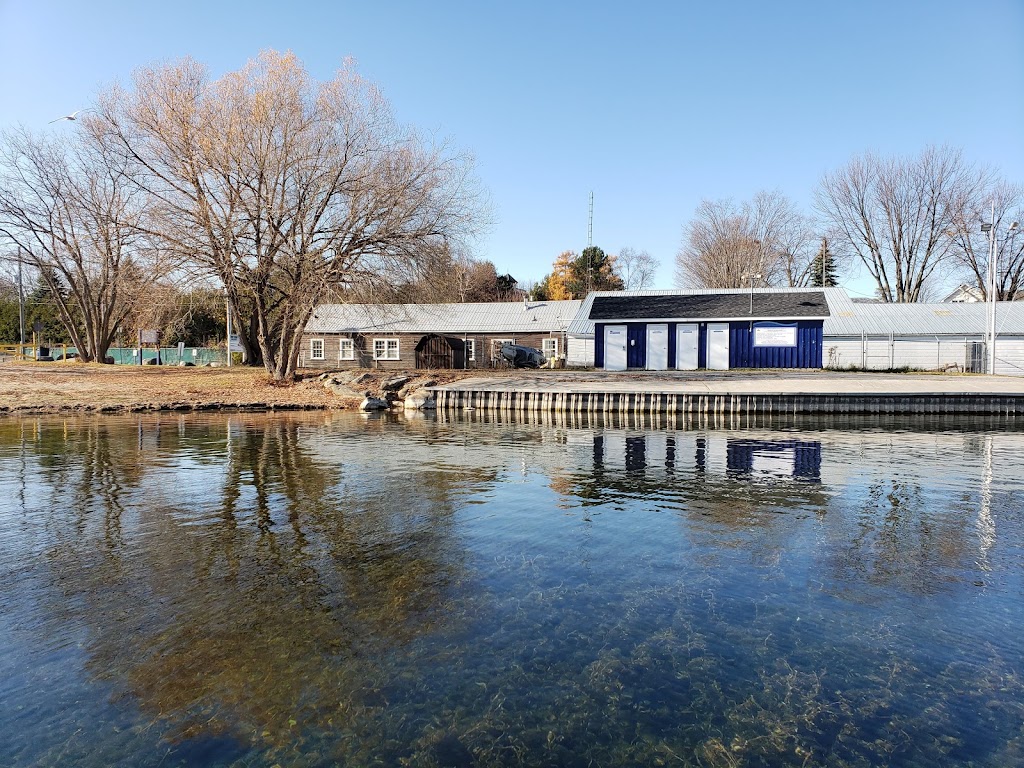 Sail Georgina | Sutton, ON L0E 1R0, Canada | Phone: (877) 977-7245