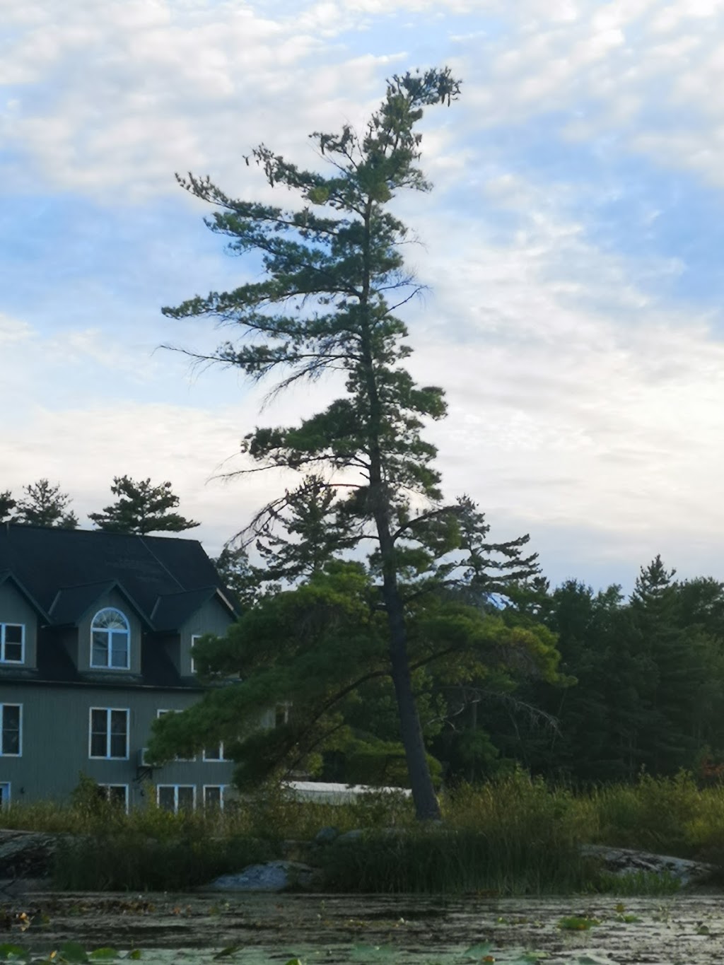 Angelfire Buckhorn Resort/Hotel | Fire Rte 29, Trent Lakes, ON K0M, Canada | Phone: (289) 521-0333