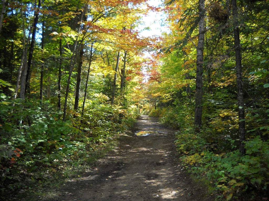 Le Plateau Nord-Est | 330 Rang de la Chute à Lessard, Saint-Alexis-des-Monts, QC J0K 1V0, Canada | Phone: (819) 996-4504