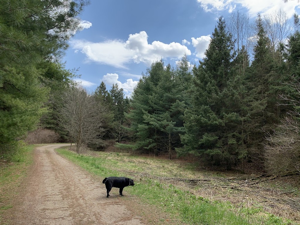 Christie Lake Conservation Area | 1000 ON-5, Dundas, ON L9H 5E2, Canada | Phone: (905) 628-3066