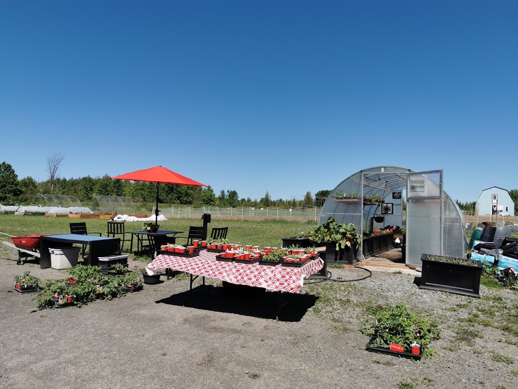 Bell Family Farm "Nolans Farm Fresh Eggs" | 7321 Flewellyn Rd, Stittsville, ON K2S 1B6, Canada | Phone: (613) 220-2494