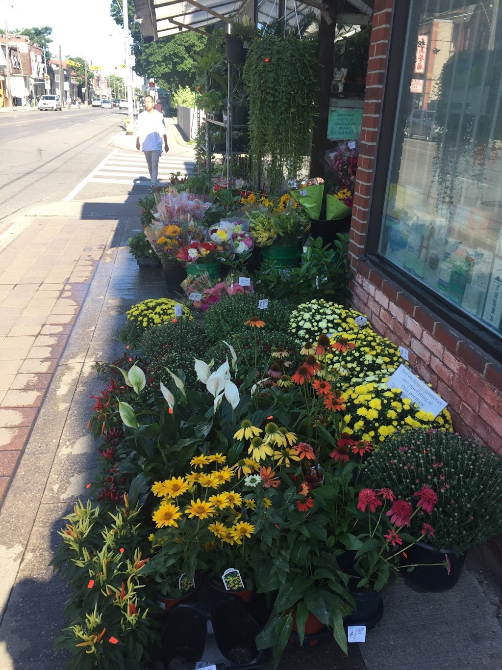 Maple Garden | 673 Gerrard St E, Toronto, ON M4M 1Y2, Canada | Phone: (416) 466-9811