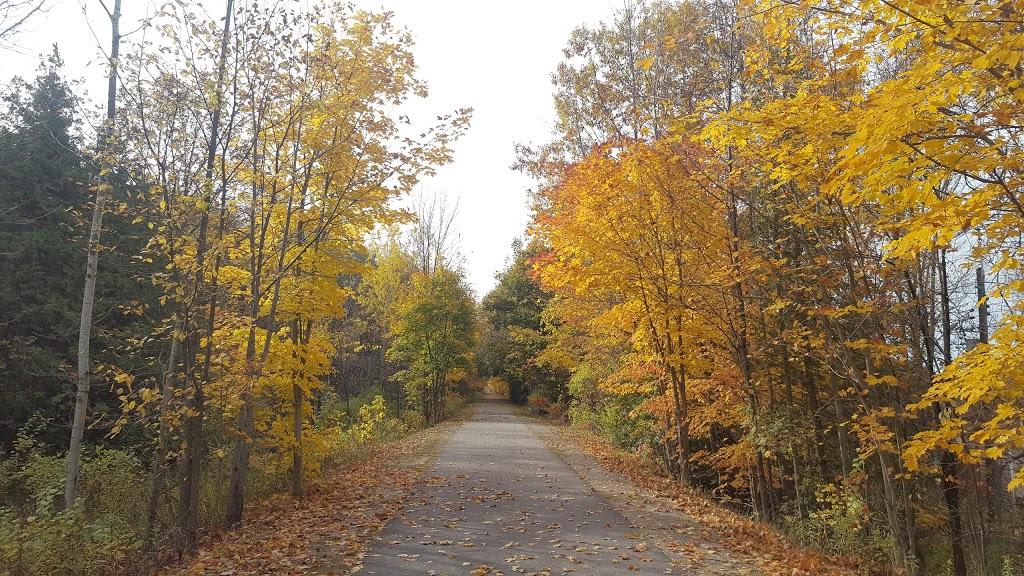 Waubaushene Beaches Provincial Park | Waubaushene, ON L0K 2C0, Canada | Phone: (705) 549-2231