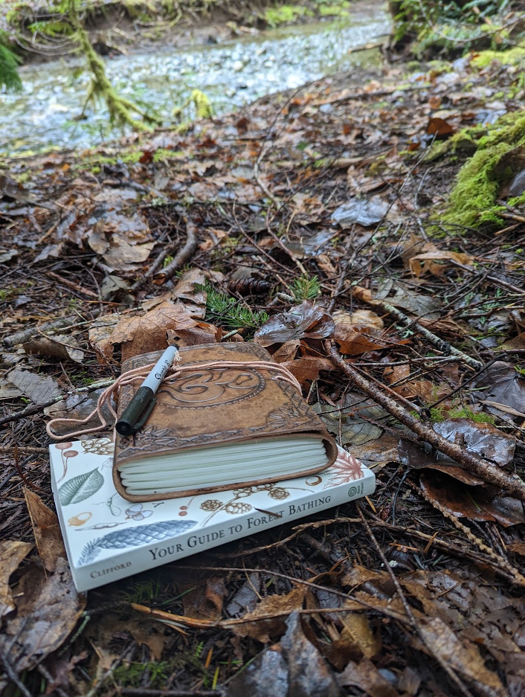 Guided Forest Walks- Leaning on Trees | 301 N Shore Rd, Lake Cowichan, BC V0R 2G0, Canada | Phone: (250) 986-9291