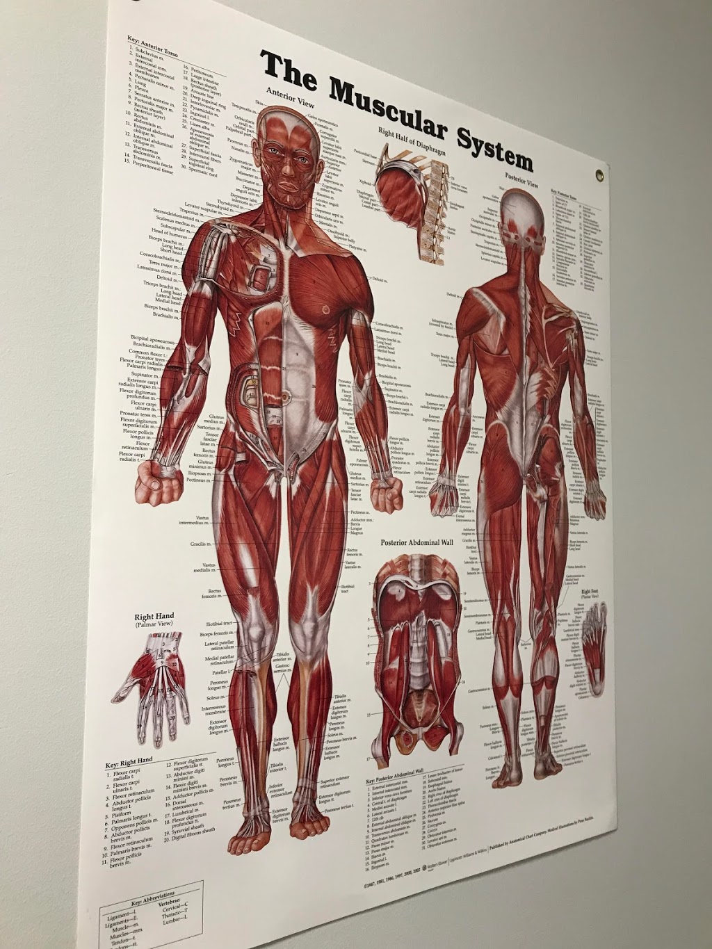 Re-Active Athletic Therapy | 695 Osborne St #1, Winnipeg, MB R3L 2B9, Canada | Phone: (204) 296-6011