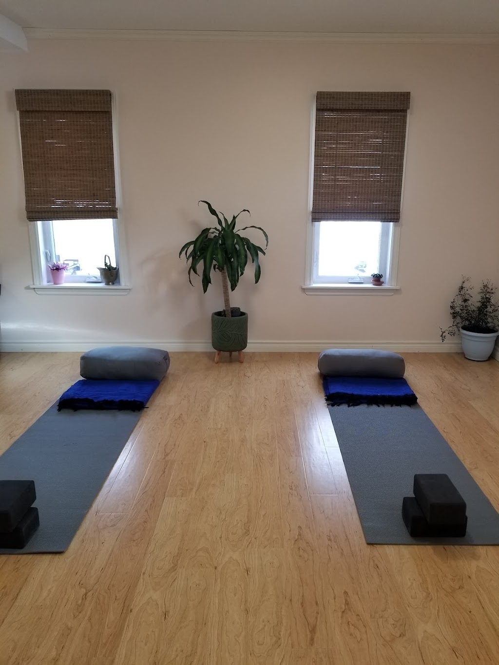 Rising Crow Yoga | 683044 Chatsworth Road 24, Holland Centre, ON N0H 1R0, Canada | Phone: (519) 794-0804