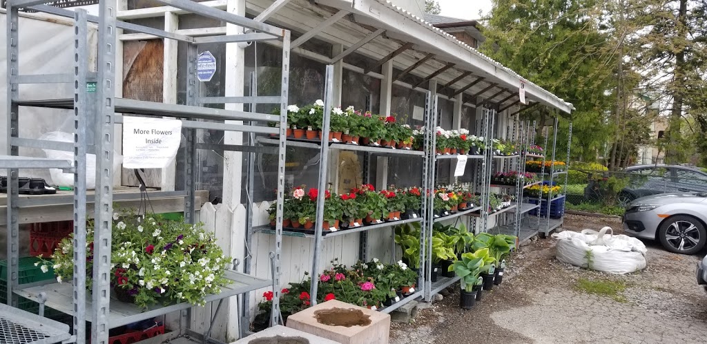 Willowdale Convenience | 184 Parkview Ave, North York, ON M2N 3Y8, Canada | Phone: (416) 221-0666