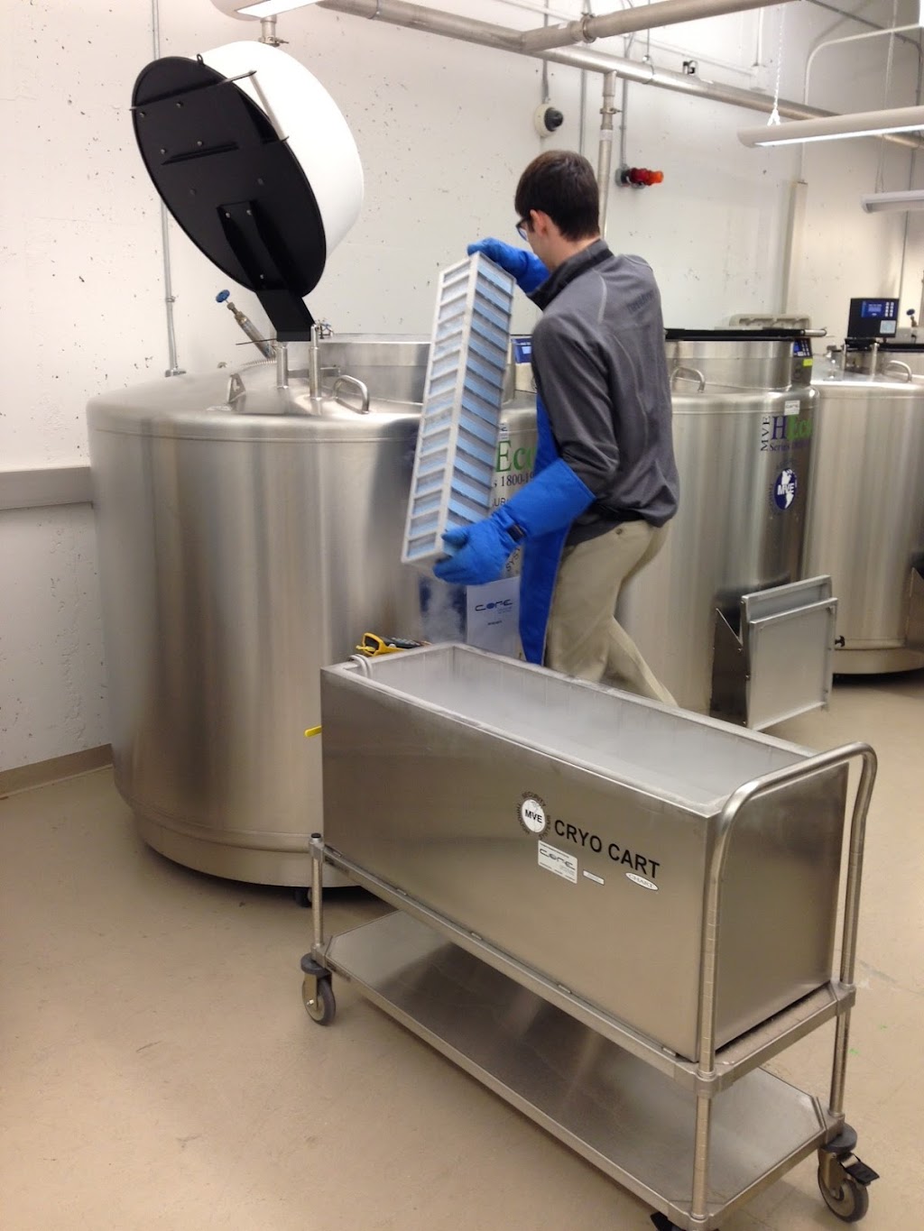 Core Cryolab Inc. | 216 Britannia Rd E, Mississauga, ON L4Z 1S6, Canada | Phone: (416) 260-2673
