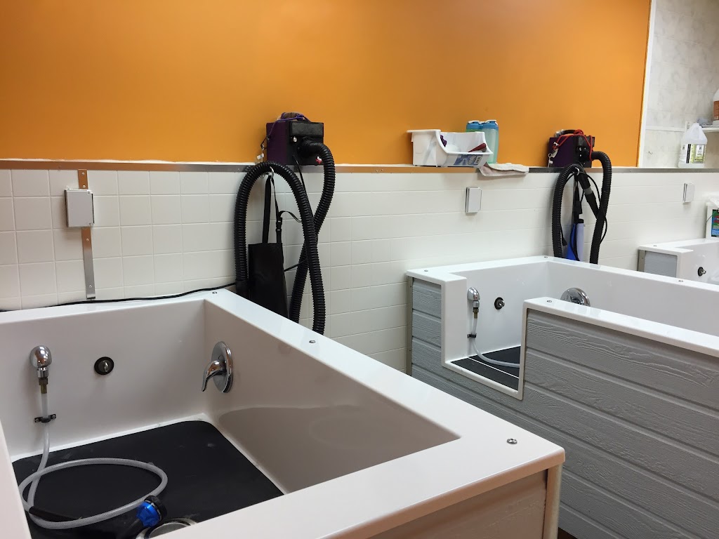 Canine Corral pet Grooming and self service dog wash | 10087 Hidden Valley Dr NW, Calgary, AB T3A 5Z7, Canada | Phone: (403) 295-0600