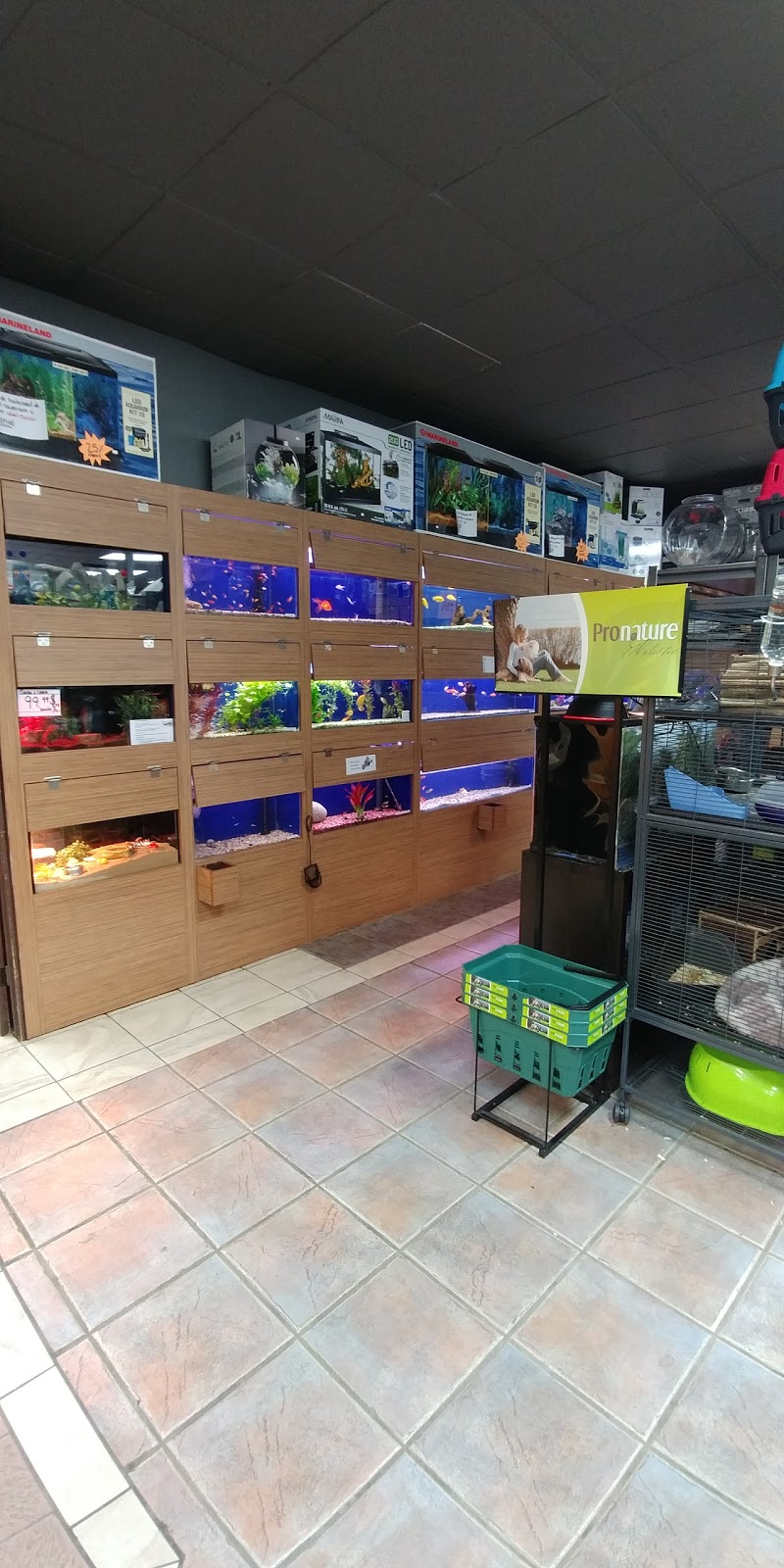 Tropicazoo Ste-Julie | 1791 Rue Principale, Sainte-Julie, QC J3E 1W7, Canada | Phone: (450) 922-2557