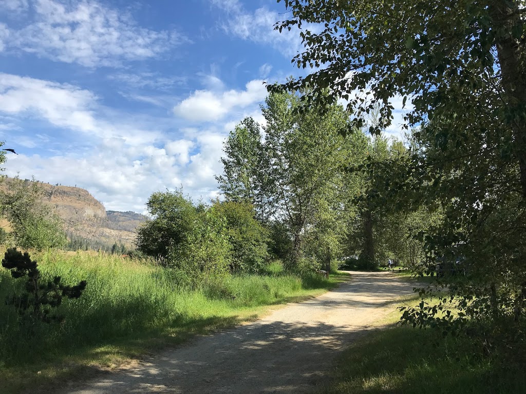 Rock Creek Riverside Campground | 1680 Hwy 33, Rock Creek Bridge, Rock Creek, BC V0H 1Y0, Canada | Phone: (250) 869-7515