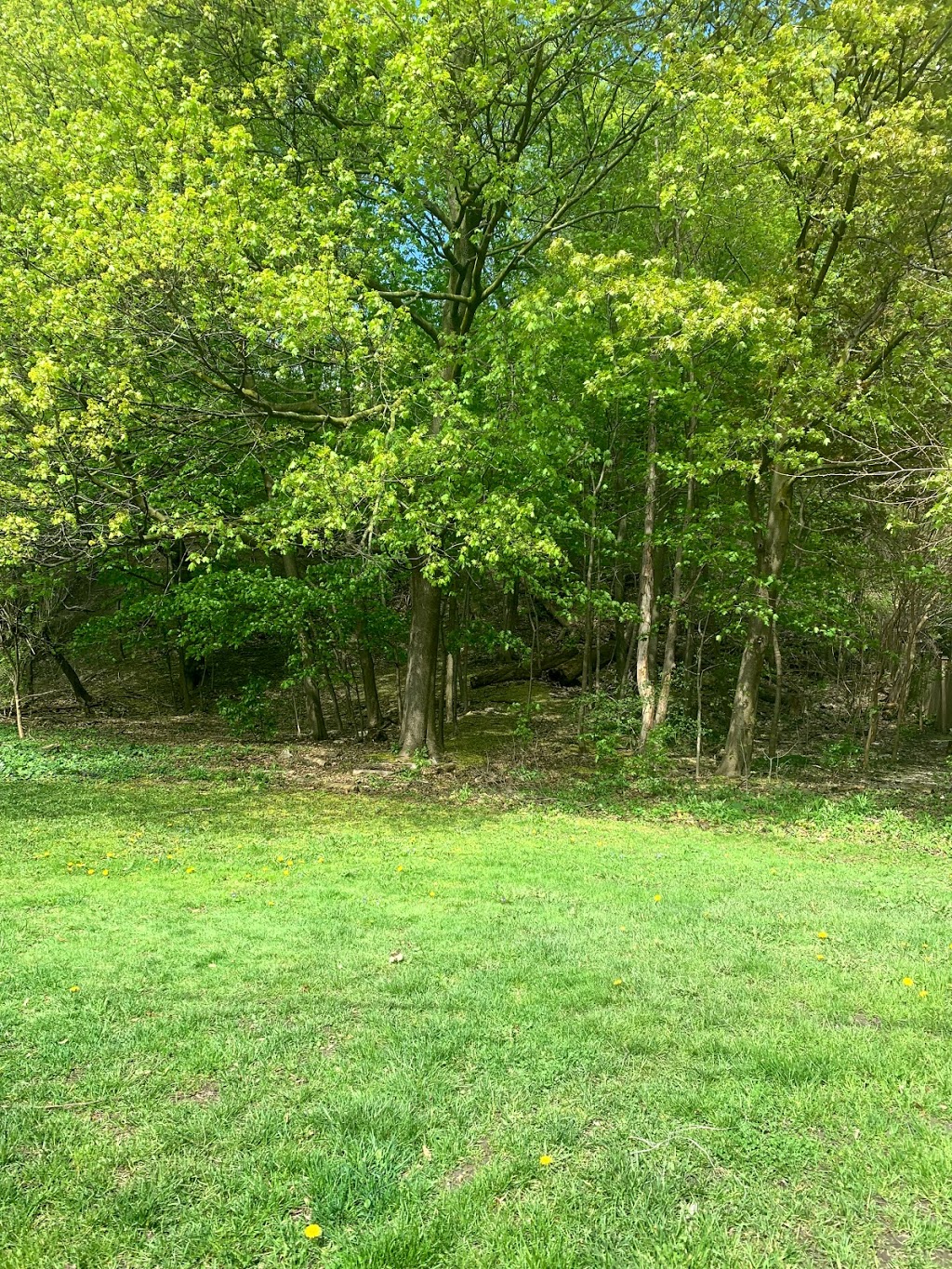 Glen Edyth Drive Parkette | 5 Glen Edyth Dr, Toronto, ON M4V 2V8, Canada | Phone: (416) 392-2489