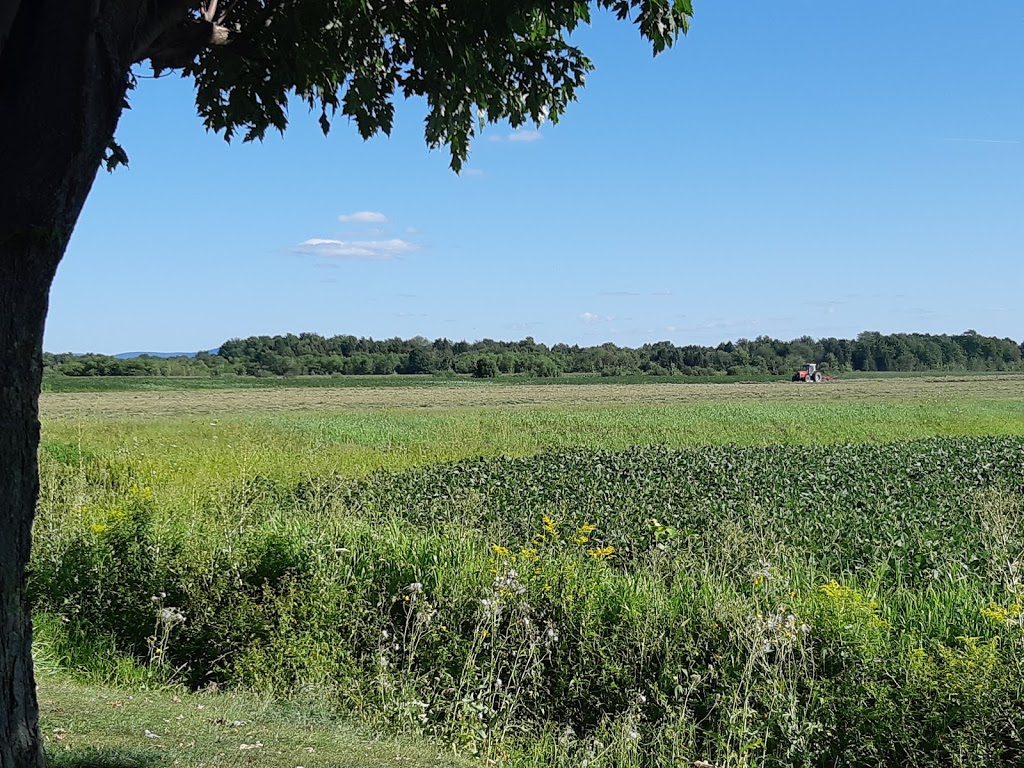 Camping Oasis | 974 1e Rang O, Sainte-Cécile-de-Milton, QC J0E 2C0, Canada | Phone: (450) 378-2181