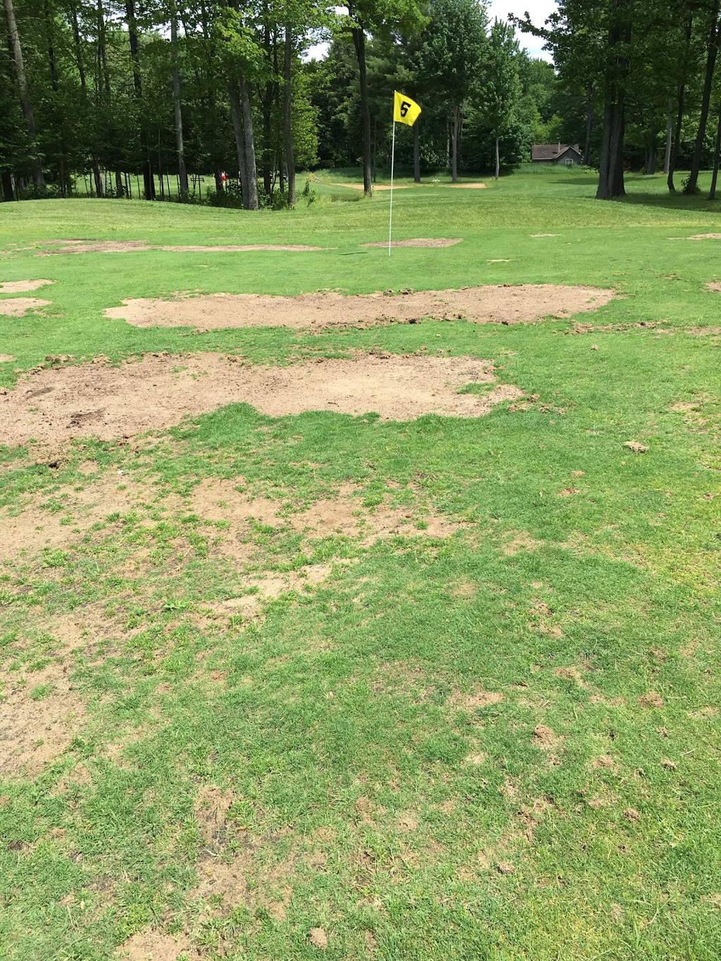 Club de Golf Les Boisés de Joly 2020 | 388 Route Centrale, Joly, QC G0S 1M0, Canada | Phone: (418) 415-0615