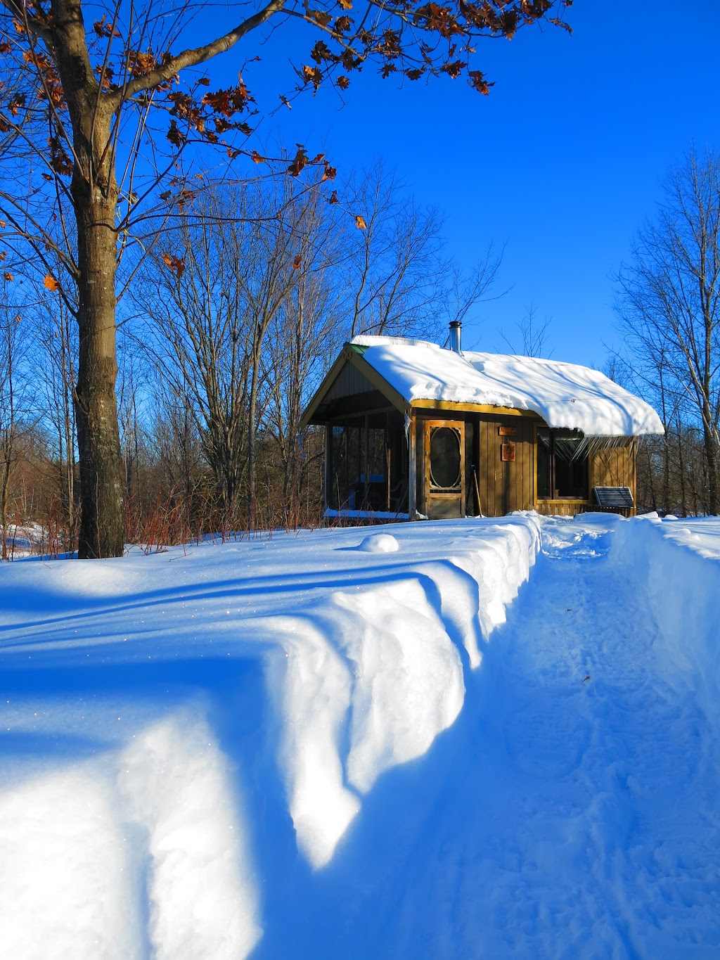 Tisarana Buddhist Monastery | 1356 Powers Rd, Perth, ON K7H 3C5, Canada | Phone: (613) 264-8208