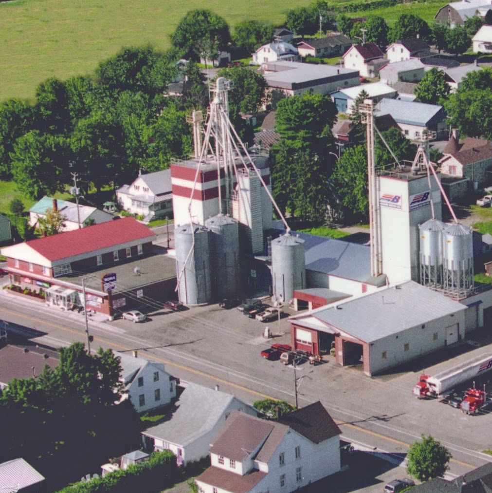 RONA Bernard Breton Inc. | 415 Rue Principale, Saint-Narcisse-de-Beaurivage, QC G0S 1W0, Canada | Phone: (418) 475-6641