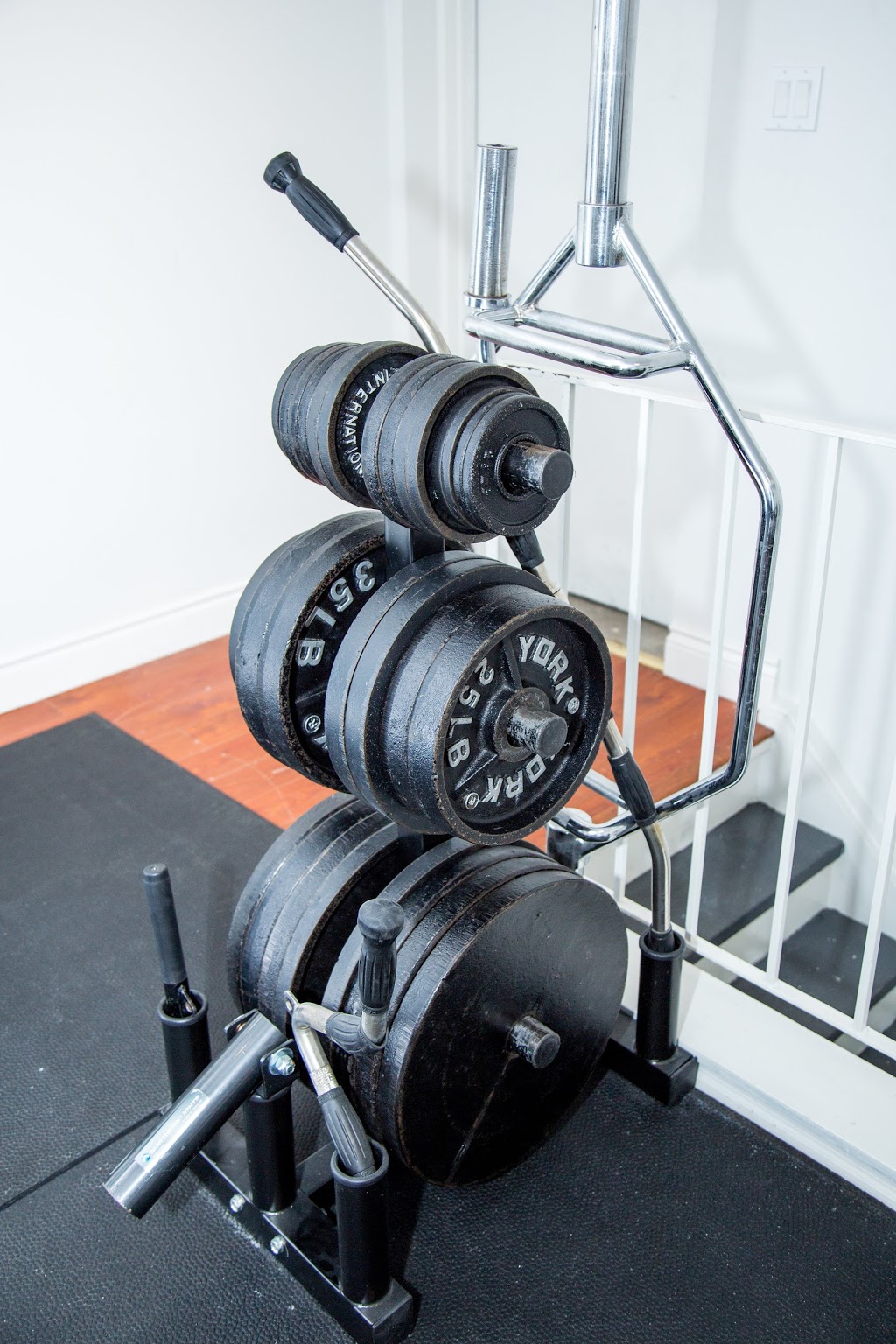 Training Pad | 2489 Queen St E, Toronto, ON M4E 1H9, Canada | Phone: (647) 588-9272