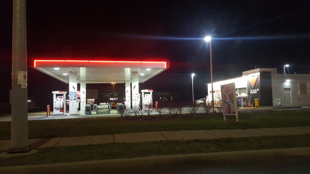 Canadian Tire Gas+ | 777 Niagara St, Welland, ON L3C 1M4, Canada | Phone: (905) 734-8081