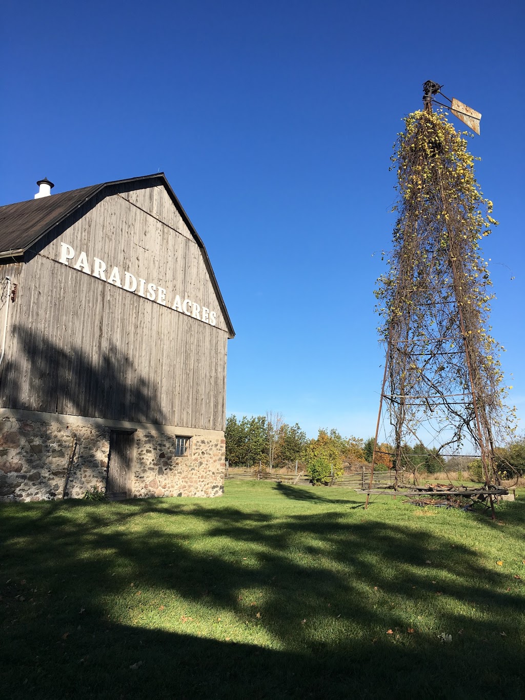 Paradise Acres Barn Cookstown | 6323 Simcoe County Rd 27, Innisfil, ON L9S 4V4, Canada | Phone: (705) 434-8364