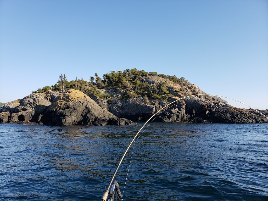 Netfishandchill | 1800 Maple Avenue South, Sooke, BC V9Z 0N9, Canada | Phone: (236) 948-7752