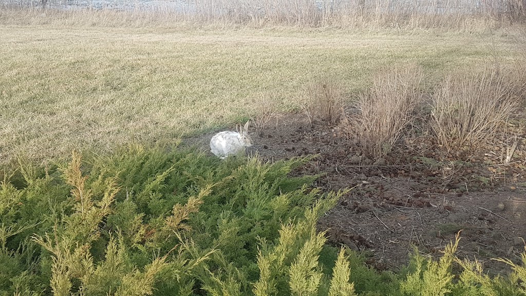 Trounce Pond | Saskatoon, SK S7V 1J2, Canada | Phone: (306) 975-3300