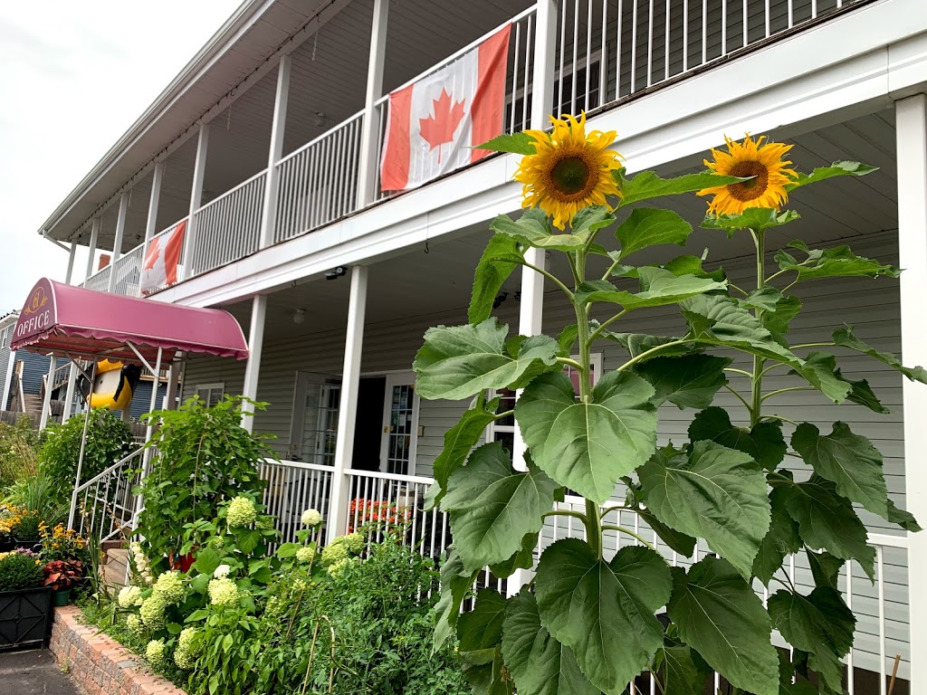 Midtown Motel & Suites | 61 Weldon St, Moncton, NB E1C 5V9, Canada | Phone: (506) 388-5000