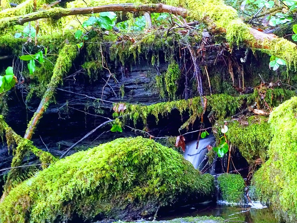 Cascade Falls | Highlands, BC V9E, Canada