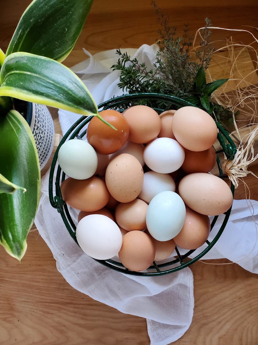 The Middle Farm | 043639 Southgate rd. 4, Mount Forest, ON N0G 2L0, Canada | Phone: (519) 323-8349