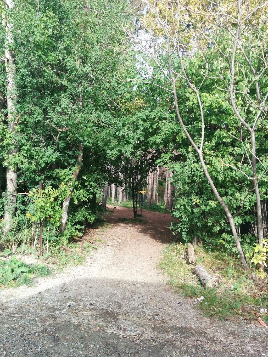 White Spruce Park | Brampton, ON L6Z 0B4, Canada | Phone: (647) 892-8970