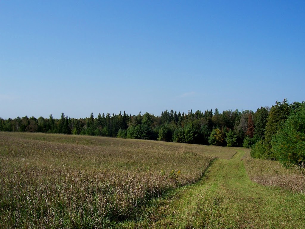 Stonecroft Equine | 19940 McCowan Rd, Mount Albert, ON L0G 1M0, Canada | Phone: (416) 660-9775