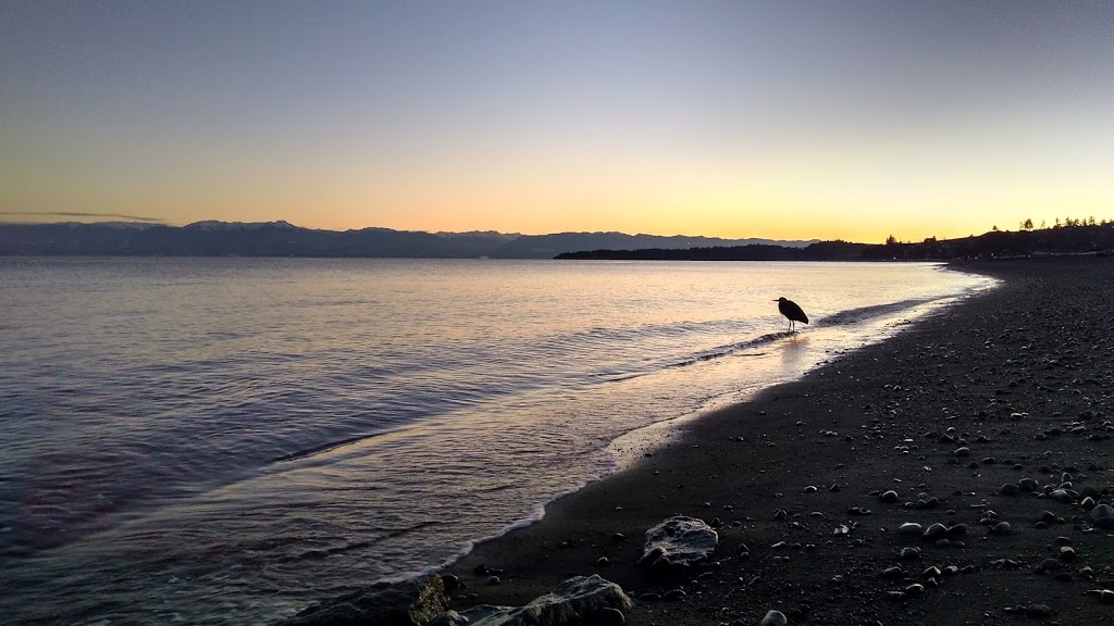 Esquimalt Lagoon Migratory Bird Sanctuary | Colwood, BC, Canada | Phone: (800) 668-6767
