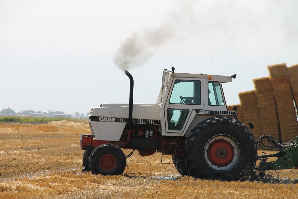 Goldenview Farms Ltd. | 23096 Rd 2 N, NW-7-1-4-W RM of Stanley Box 288 RR2, Morden, MB R6M 2A1, Canada | Phone: (204) 362-4874