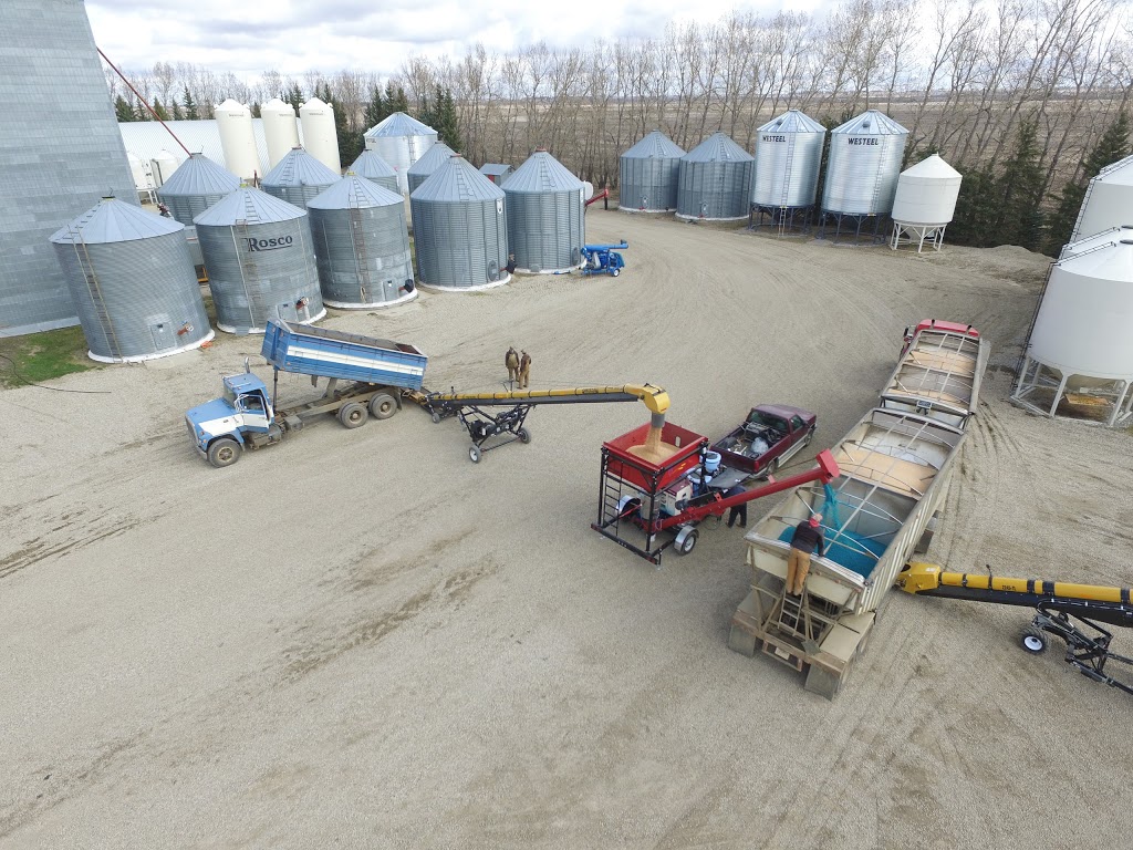 GD Ellis Farms & Brian Ellis Seed | 28546 Township Road 334, Mountain View County, AB T4H 1P2, Canada | Phone: (403) 556-2890