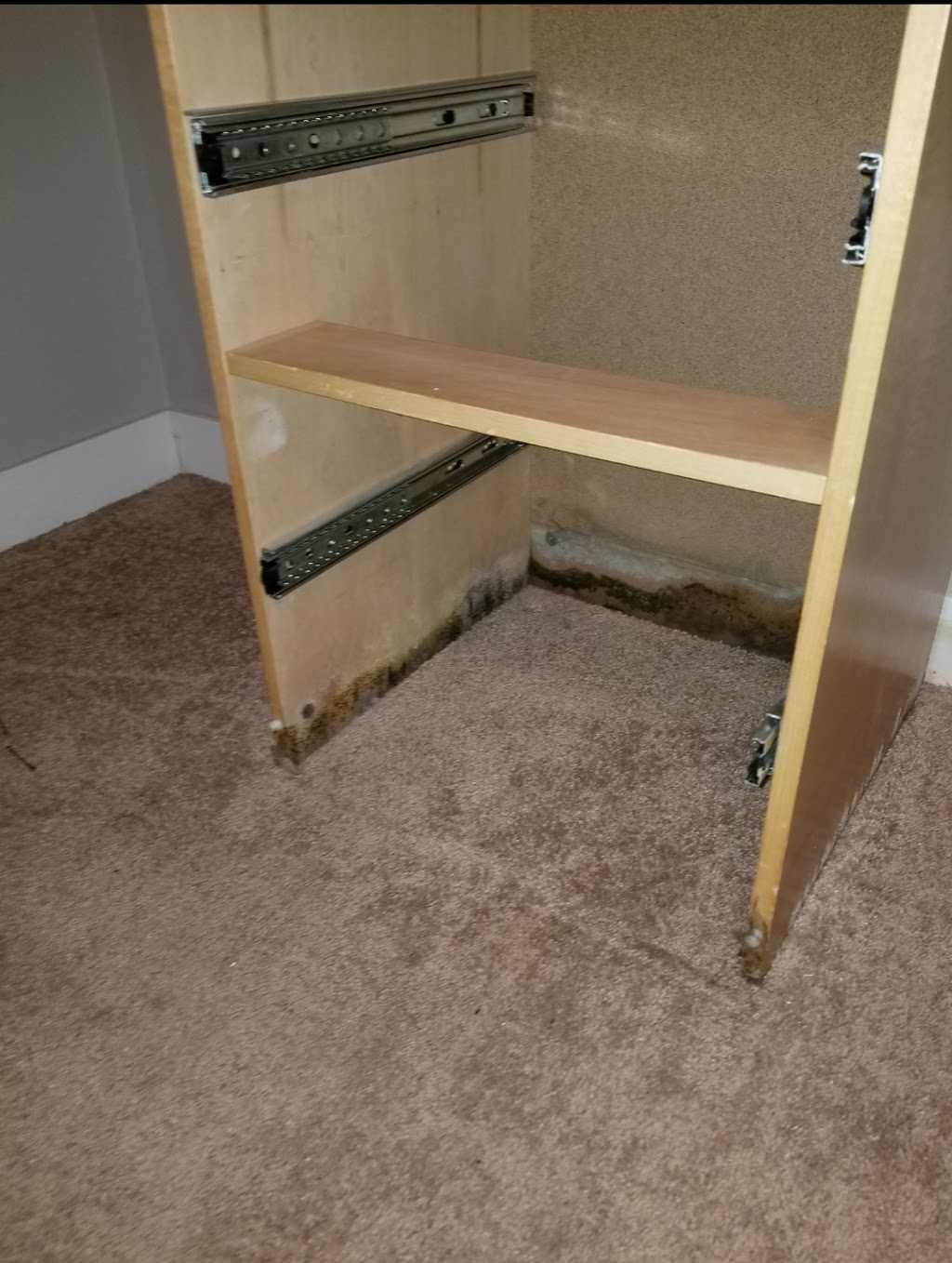 NO LIMIT Restorations & Carpet Cleaning | 7405 16 Ave SW, Edmonton, AB T6X 0E1, Canada | Phone: (780) 603-1106