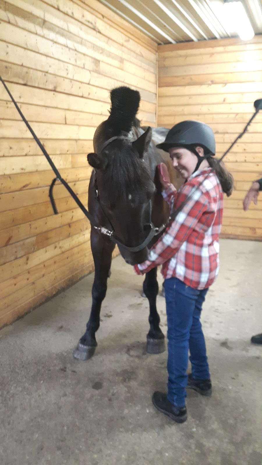The Motts Equestrian Centre | 756 Watson Rd S, Puslinch, ON N0B, Canada | Phone: (905) 703-8225
