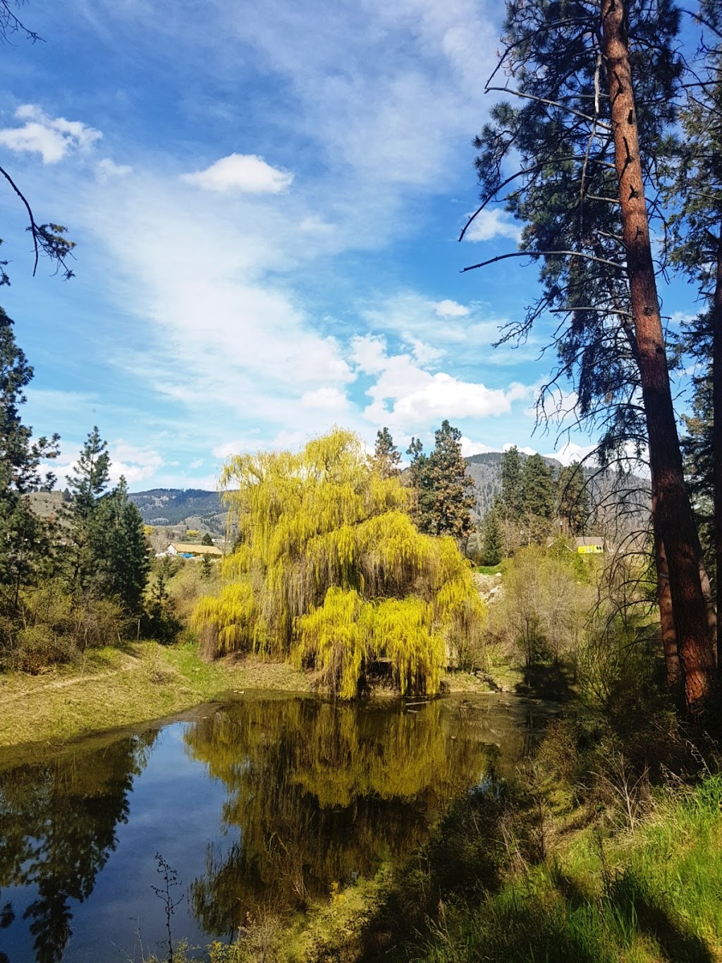 Gopher Creek Linear Park | 1723 Lynrick Rd, Kelowna, BC V1P 1E9, Canada