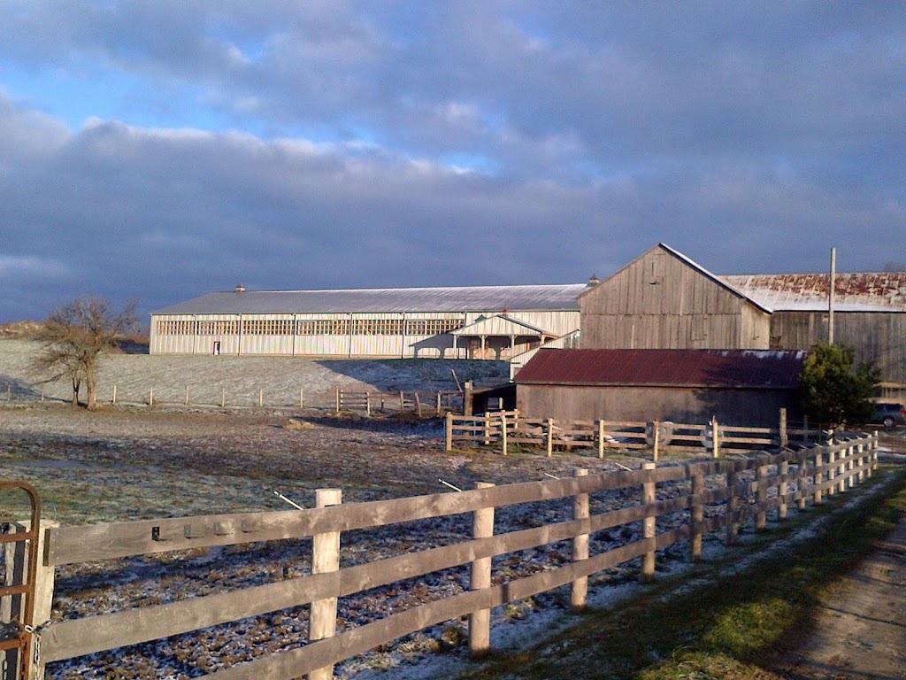 Jou Equine Reproduction Services | 289 Parkmount Dr, Waterloo, ON N2L 4M9, Canada | Phone: (519) 277-0627